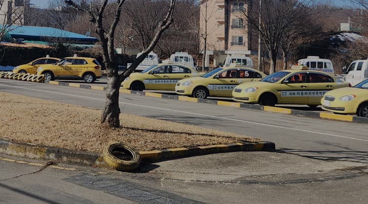 삼일자동차운전전문학원 사진 13