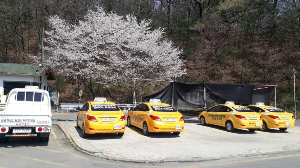 세종현대자동차운전전문학원 사진 4
