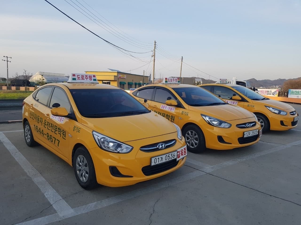 신진자동차운전전문학원 사진 3