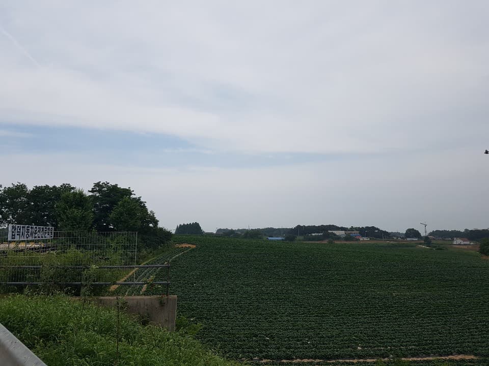 당진 합덕 자동차 운전 전문학원/당진운전학원/당진운전면허/운전면허학원/당진운전면허학원
