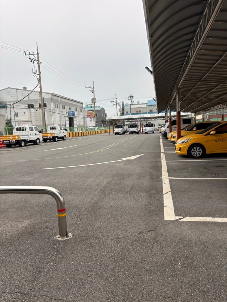 🚙 11수생의 2종 운전면허 취득기 | 부산 북부운전면허시험장, 드라이빙존, 덕포자동차운전학원, 총 비용, 점수확인방법
