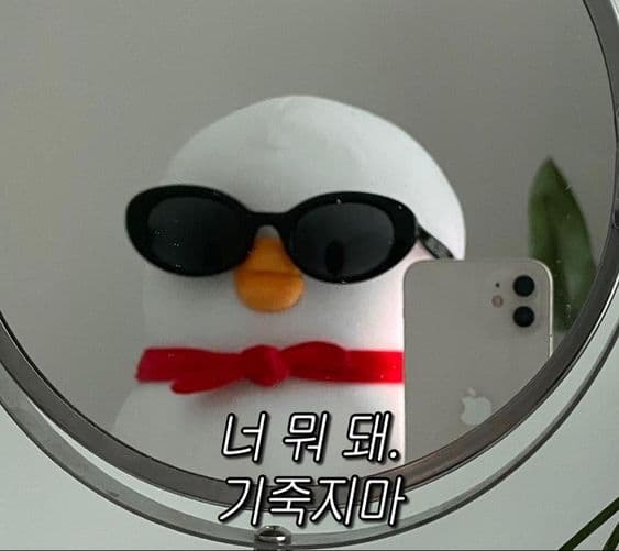 [운전면허] 운전면허시험 실기 준비하기! - 드라이빙존운전면허 부산대점(가격/수능수험표할인/이용시간/이용후기)
