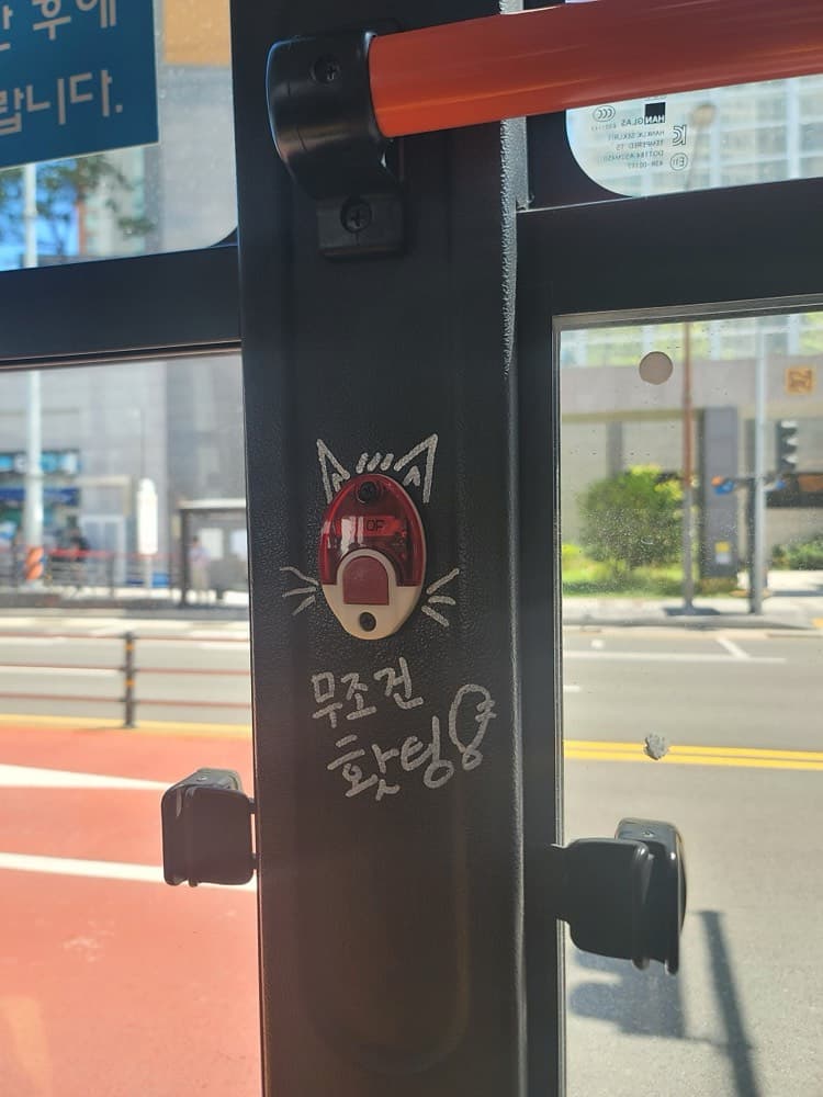 «2종보통/필기» 범퍼카만 타던 반오십, 운전면허에 도전하다! / 드라이빙존 북부점