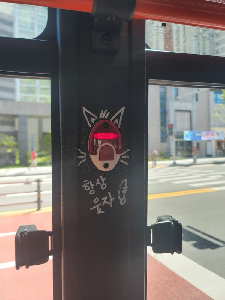 «2종보통/필기» 범퍼카만 타던 반오십, 운전면허에 도전하다! / 드라이빙존 북부점