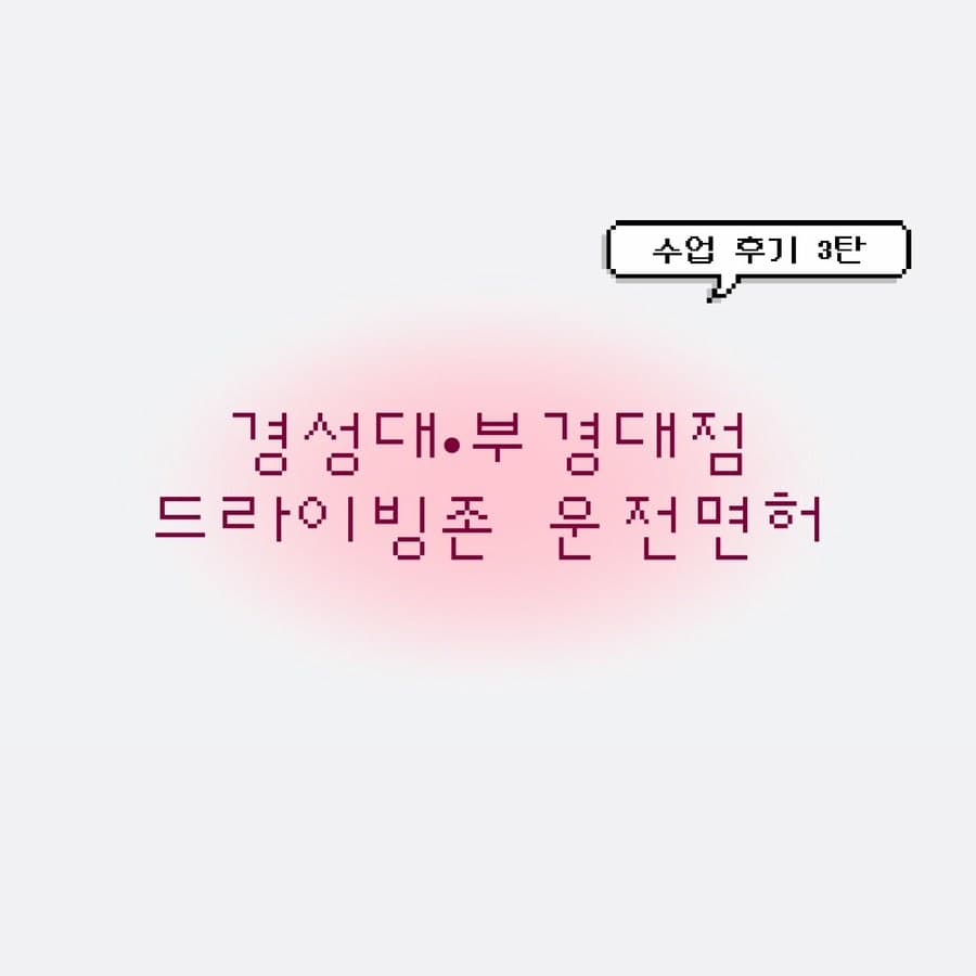 운전면허 드라이빙존 경성대•부경대점 수업 후기 (3)