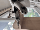 리뷰 이미지 1