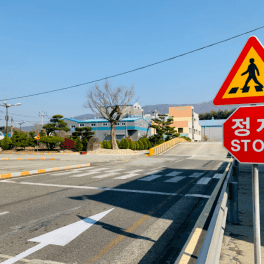 대성자동차운전전문학원