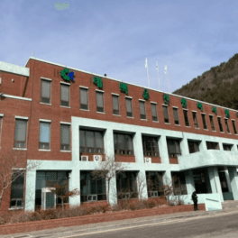 태백 운전면허시험장 사진