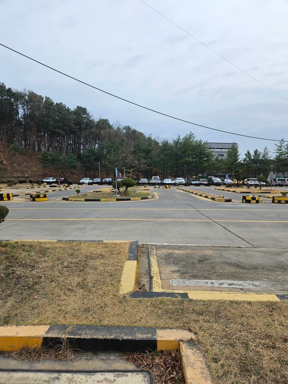 금성자동차운전전문학원