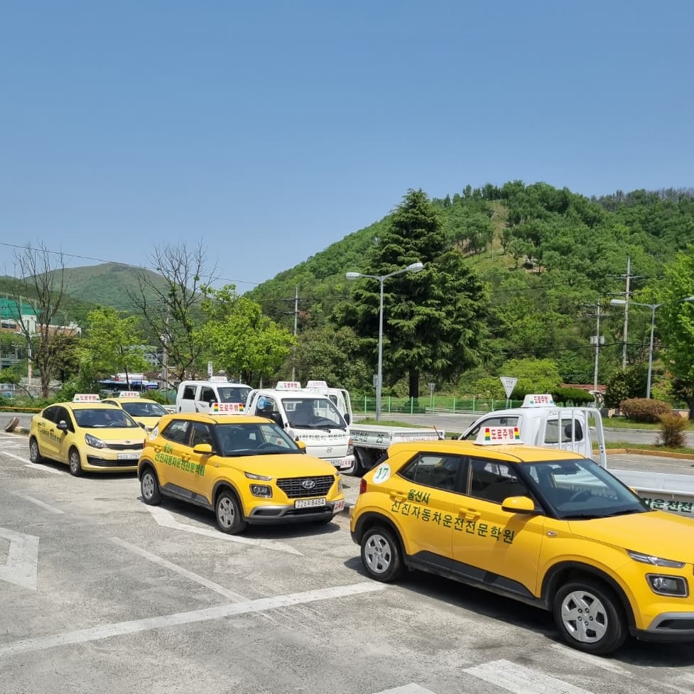 신진자동차운전전문학원 사진 1